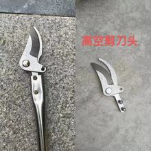 ���]��֦����֦���޼�@���軨ϡ����֦�߿ռ����^�߿ռ���Ƭ