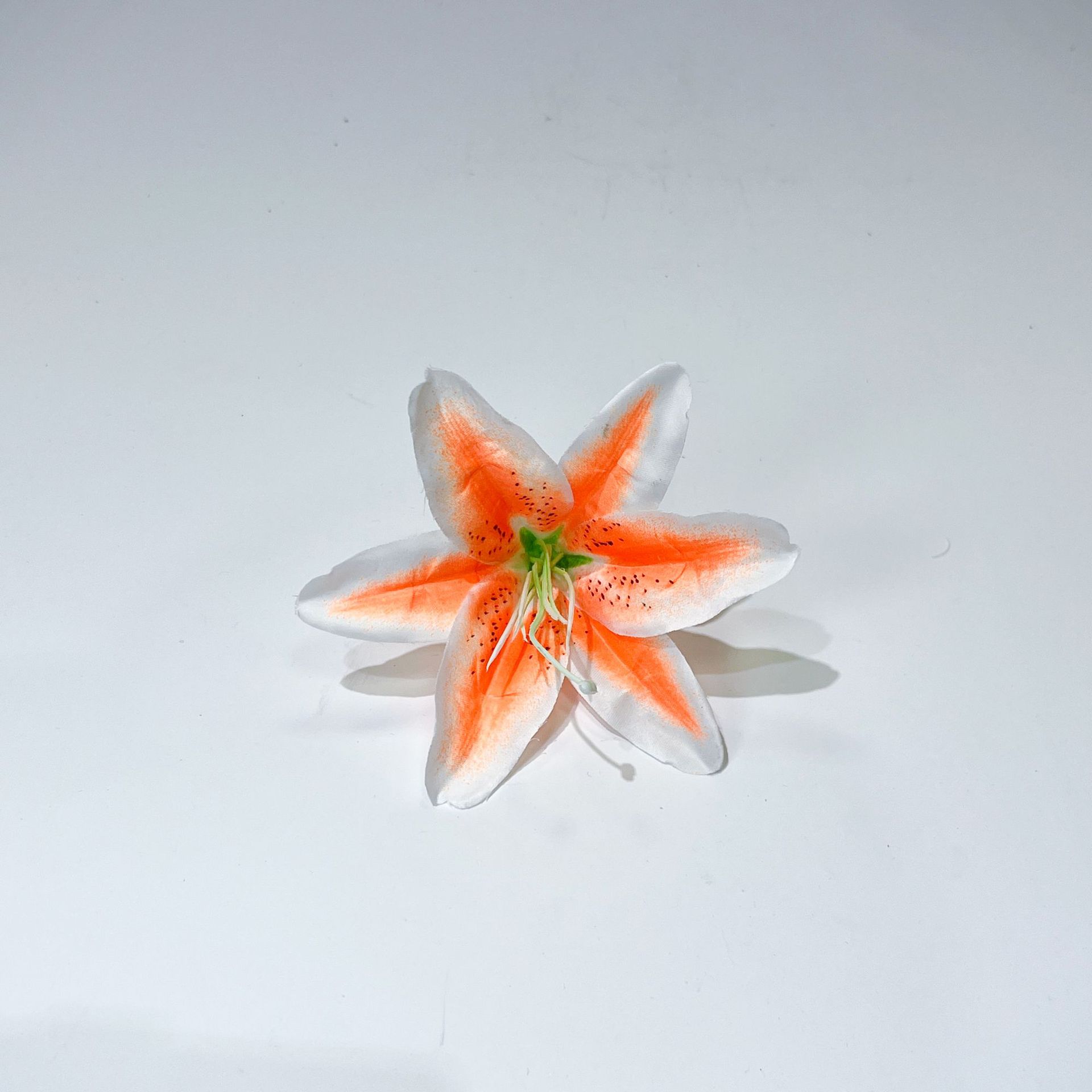 오렌지 (코어 없이)