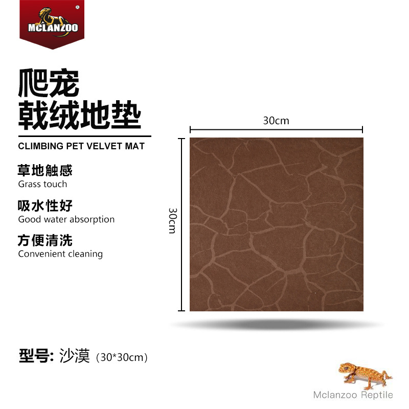 【사막】30*30