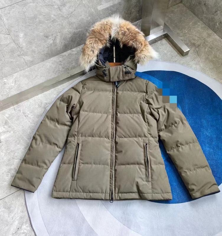 04 Big Goose Ladies Down Jacket Hot Selling Coat|undefined