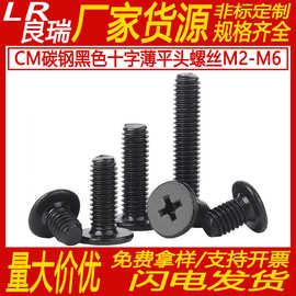 CM碳钢镀黑色十字槽平头螺丝扁平头螺丝大平头薄平头机丝钉M1.2-6