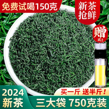 新春茶云雾绿茶高山茶叶非毛尖茶日照充足浓香型袋散装共750g