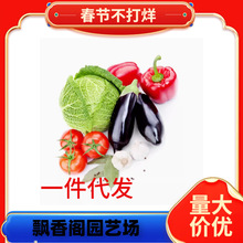 ſز˷Nļ˷NӴȫ߲˶ѷNͺ˷N