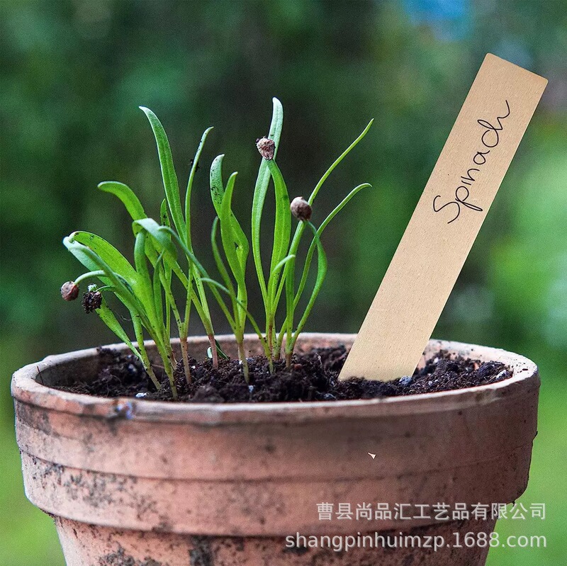 Wholesale Wooden Crafts Flower Inserts, Succulent Labels, Landscape Signs, Carved Soil Wooden Signs, Wood Chips