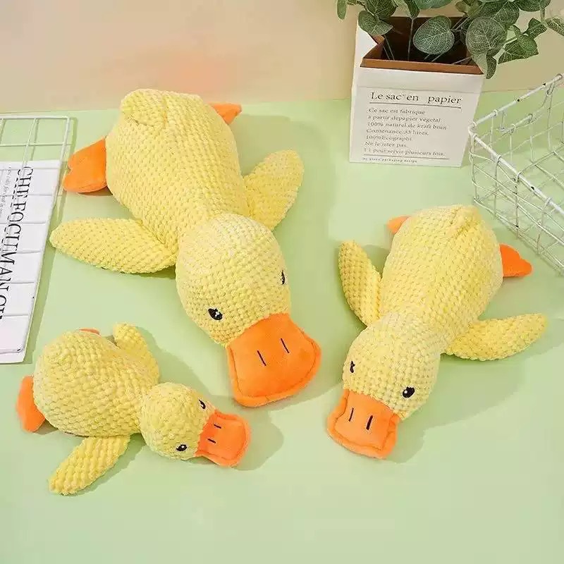 Charge duck trumpet [beep beep]