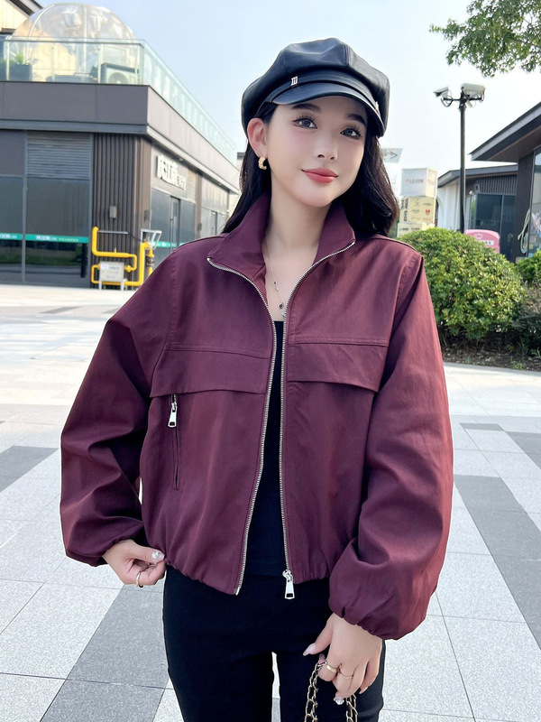 高品质设计感立领外套女2025秋季新款小个子百搭休闲夹克洋气上衣|undefined