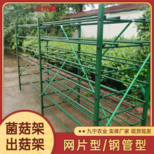 �������Ҵ�������F�W�� ���乽Ģ���Nֲ�� ���乽���ӷNֲ��