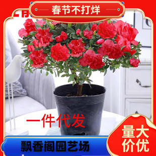 һ�����l���N�������Ԏ������ļ��_�������҃��^���ܾGֲֲ���Ϙ�