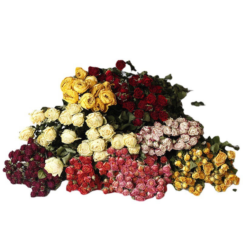 Flor seca Flor eterna Gypsophila Bola de oro No me olvides Flor seca Rosa hoja de eucalipto Pine Fruit Lover Grass al por mayor