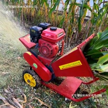 便携式移动铡草机家用小型秸秆粉碎机揉丝机养殖切草机树枝粉碎机