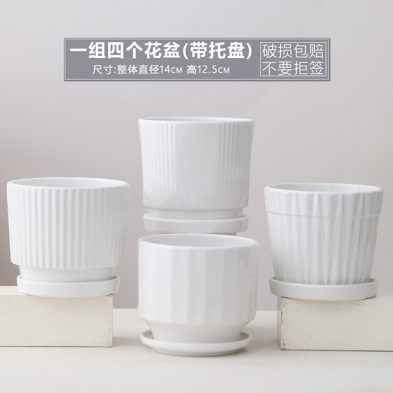 TX 크리에이티브 심플 화이트-중형 4개(트레이 포함)