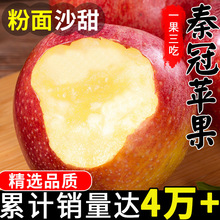 陕西秦冠粉面沙甜苹果新鲜婴儿老人宝宝刮泥斤秋冬应季水果整箱