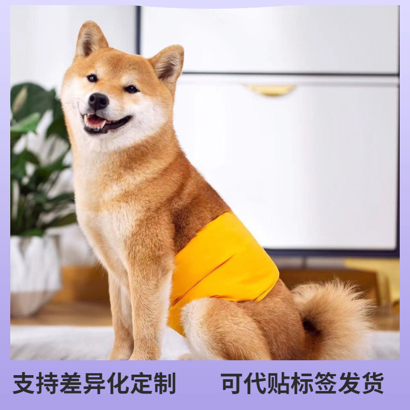 Cross-Border Pet Dog Diapers, Physiological Pants, Absorbent, Adjustable, Washable and Reusable for Cats and Dogs