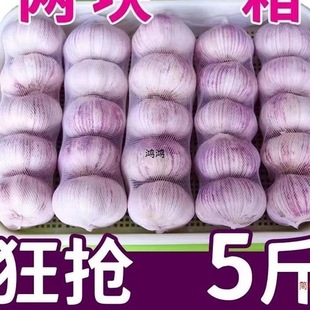 ��ɽ�|�ӄ���������´�����Ӱ��]�������^5��5���l��tƤ��Ƥ