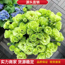 �ذ���۹��N���л���۹��ļ������N�̨ͥԺ�����҃��⻨�ܷN��