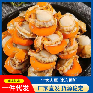 ���r�����ؐ���ք��ك���̖��ؐ�����ط۽z��ؐ���rˮ�a�������l