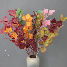 ���������~�Gֲ��c�zӰ���߲�ɫ�~�ļҾ��b��O���~�ٻ��������l