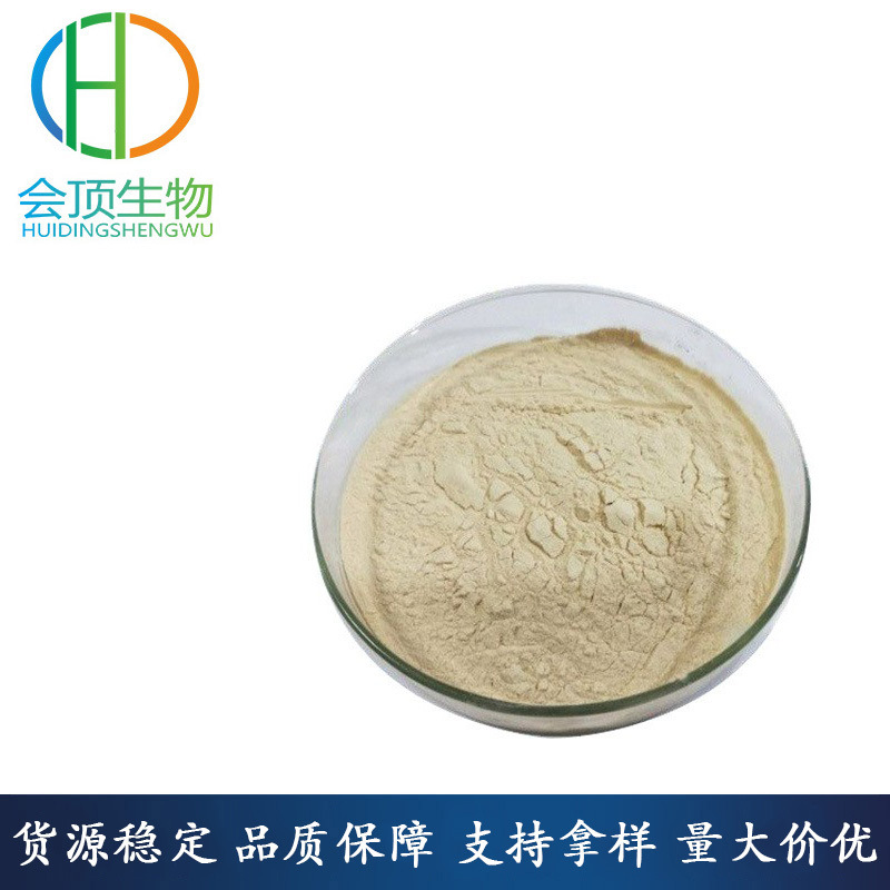 现货供应 核桃肽粉 小分子  会顶长期销售核桃低聚肽 量大从优