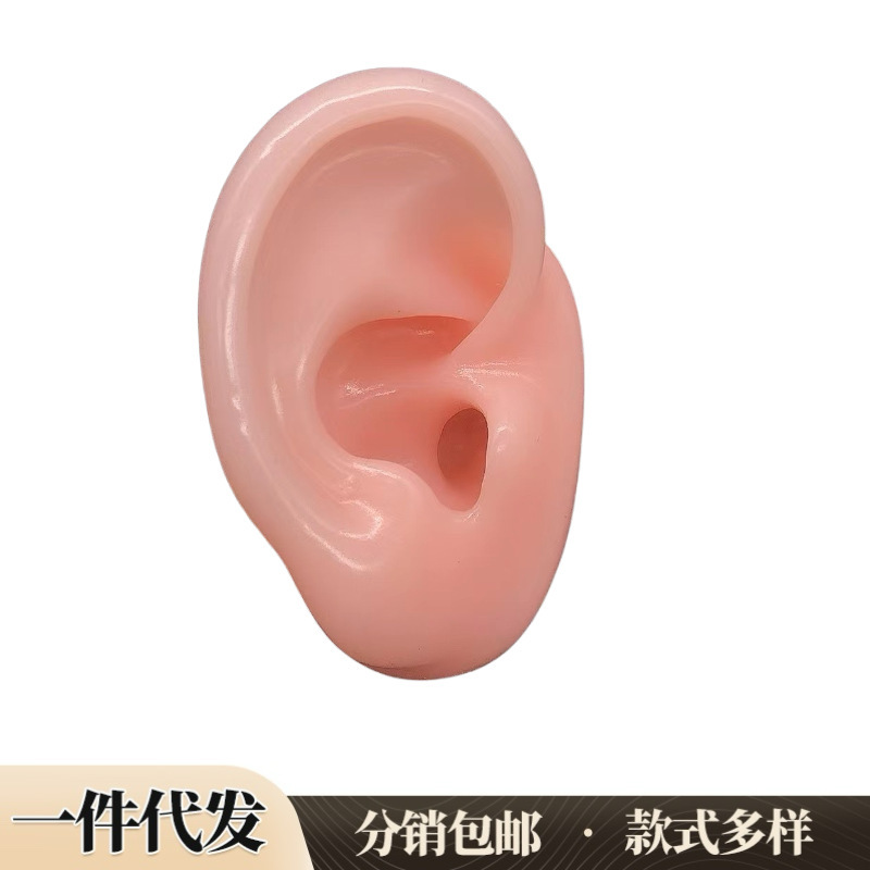 Soft Silicone Human Ear Model Ear Acupuncture Point Ear Stud Earphone Mold Medical Teaching Display Props Demonstration Simulation Soft Silicone Human Ear Model Ear Acupuncture Point Ear Stud Earphone Mold Medical Teaching Display Props Demonstration Simulation
