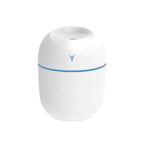 New small Y type USB egg humidifier home use large spray volume moisturizer portable car aromatherapy diffuser wholesale 