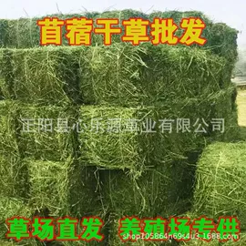 植物性饲料;兔子主粮