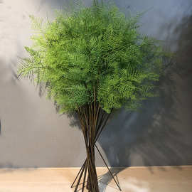 仿真文竹 中式家居花艺软装绿植盆栽蕨类植物摄影道具植毛叶