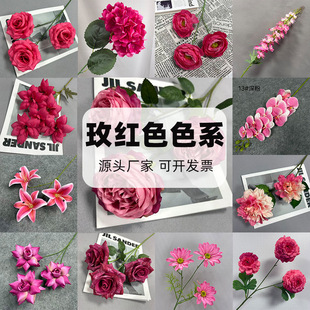 ���滨õ�tɫϵ����Y�b���DIY�ֹ��ػ��l�A�^���ٻ���Y�[��