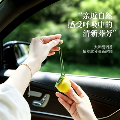 Decoration and Hanging Accessory for – Car hanging