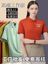 �ļ����䷭�Ipolo��ӡlogo������t���̽��F���V���Ļ���