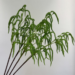 ��֦ëë�x ���滨ܛ�z�����z�ָ�ܛ�z�����Ҿ����ٹ����˜I���