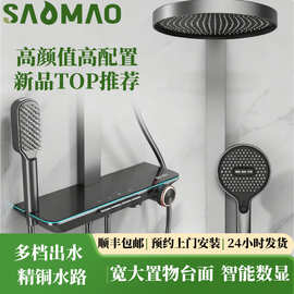 轻奢全套沐浴花洒套装家用浴室卫生间淋浴器恒温增压大置物酒店