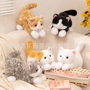 �¿�����ſ��؈ë�q��߿ɐ�؈�乫����鰲����ż�Y�����l