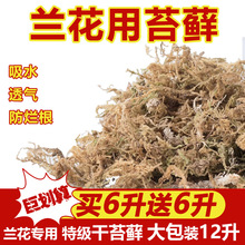 干苔藓兰花专用土蝴蝶兰青苔种植土石斛营养土球水苔铺面跨境直发