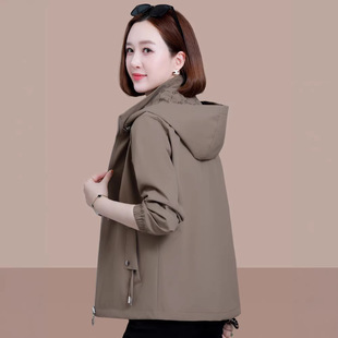 �p�洩����Ů����2026�¿��Ů�b���̿��L�A�����·�
