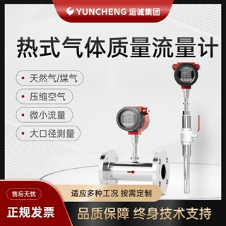 热式气体质量流量计插入式管道气体氮气氧气4-20mA气体质量流量计