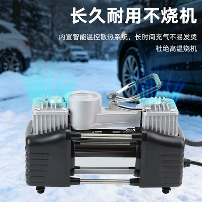 Hava nasosu pump 220V GB plug
