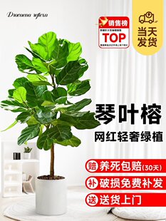 ���~�����Դ��;Gֲ�҃ȿ͏d����Ϙ��S���Ŵ��~�k���҃��ļ�����