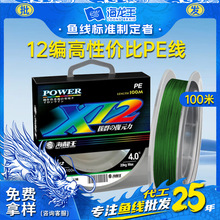海龙王100米12编钓渔线大力马PE线耐磨钓具鱼线主线渔具厂家批发
