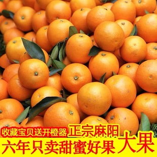 һ�����������ꖱ��ǳ�5������rˮ���ք����Ӯ�������a��ֱ��