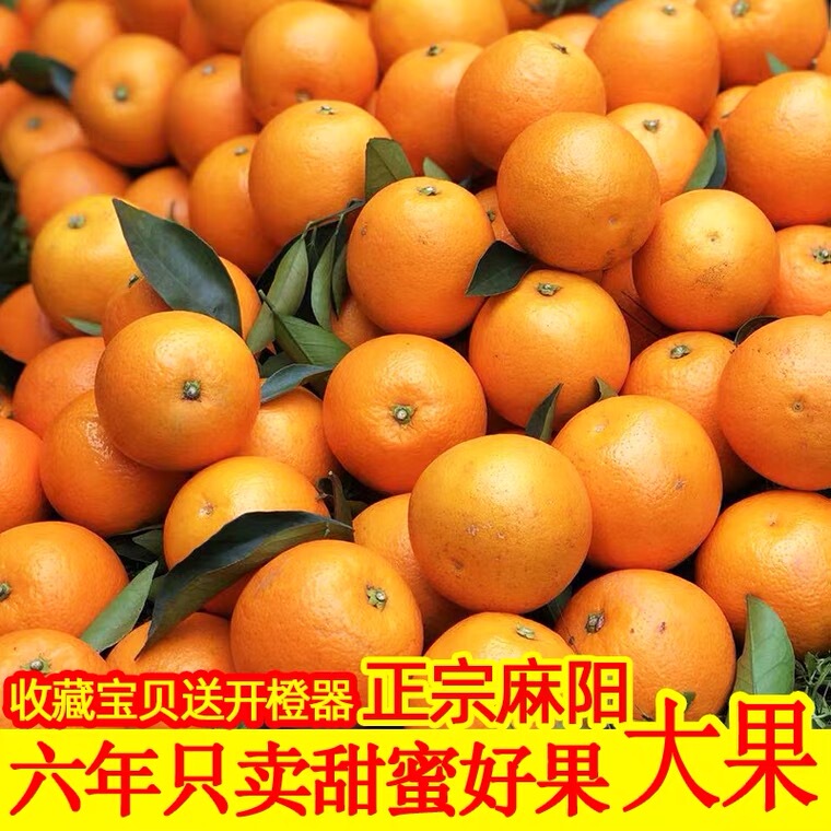Grade a Authentic Mazhang Rock Sugar Oranges 2.5kg Packs of Fresh Fruit Hand-Peeled Oranges Seasonal Whole Box Direct Supply from Origin