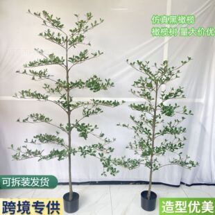 �����ϙ����ϙ�亣�u��������Gֲ�d�Ә��҃ȼҾ��b����쾰