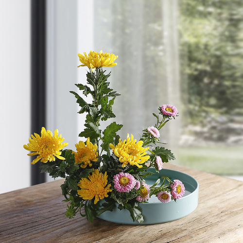 Kenzan Chinese flower arrangement vessel Japanese Zen style Ohara flower arrangement flower arrangement flower pot plastic flower plate flower arrangement disc