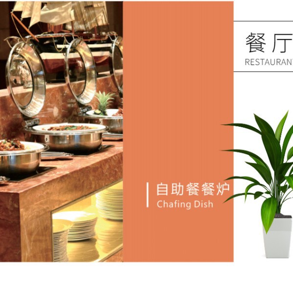 SUNNEX����ʿ ����8.5�������ξƵ�������¯��ʳ���賧��ֱ���ؼ�