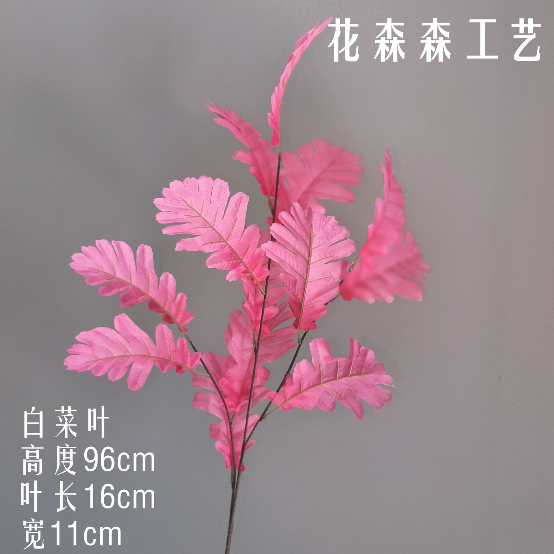 양배추 잎 131113