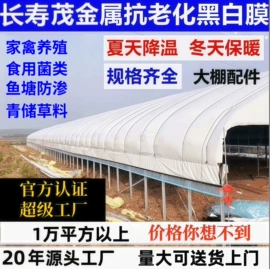 其他塑料薄膜;农用薄膜;其他农业