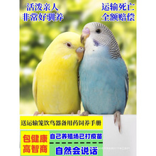 �W�^���B���ﻢƤ�W�^���W�fԒ���B����B녰�С�ͼ��BС�B