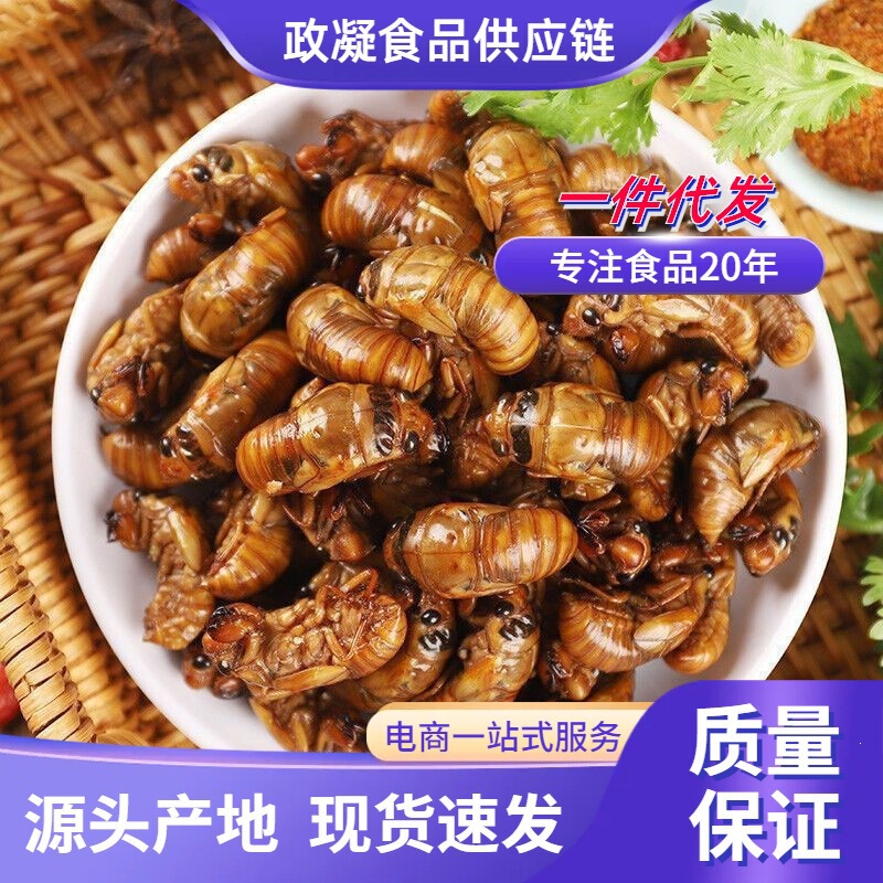 Cicada Nymphs 2026, Fresh-Caught Golden Cicada Larvae, Freshly Fried Silkworm Pupae, Turtle-Piercing Cicada Nymphs, Barbecue, Zibo, Shunfeng Cicada Nymphs 2026, Fresh-Caught Golden Cicada Larvae, Freshly Fried Silkworm Pupae, Turtle-Piercing Cicada Nymphs, Barbecue, Zibo, Shunfeng