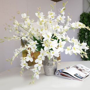 �������m�m�����滨�Sɫ�����m�ٻ��[������廨�b�С���»���