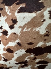 MţƤ yy ЬҾɳl̺ţƤƤë