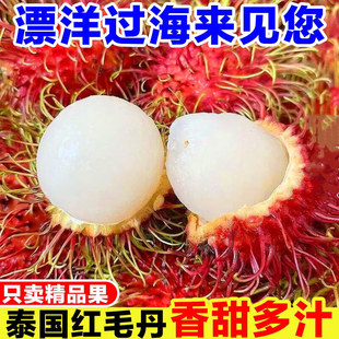 ̩���M�ڼtë�����r�����Fժë��֦�Ꭷϡ��ˮ��7̖ë�����tĵ��